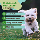 Natural Dog Company Whole Food Super Greens Meal Topper for Dogs (8 oz) - Dog Food Toppers 3