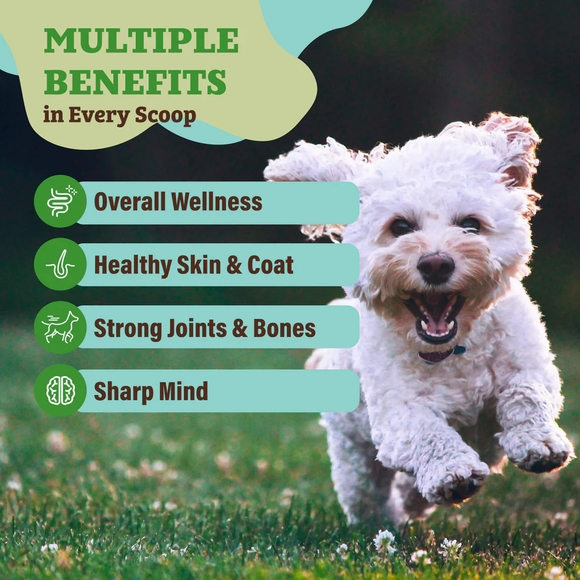 Natural Dog Company Whole Food Super Greens Meal Topper for Dogs (8 oz) - Dog Food Toppers 3