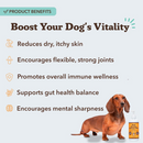 Natural Dog Company Wild Alaskan Salmon Oil - Pet Vitamins & Supplements 3