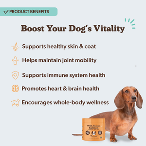Natural Dog Company Wild Alaskan Salmon Supplement for Dogs (90 soft chews) - Dog Vitamins & Supplements 2