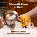 Natural Dog Company Wild Alaskan Salmon Supplement for Dogs (90 soft chews) - Dog Vitamins & Supplements 6