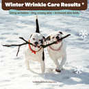 Natural Dog Company Wrinkle Balm Stick (2 oz) - Dog Supplies 4