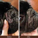 Natural Dog Company Wrinkle Balm Stick (2 oz) - Dog Supplies 4
