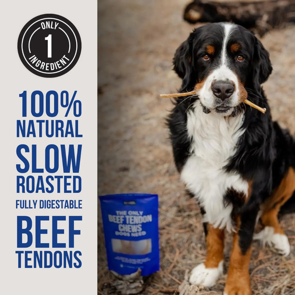 Natural Rapport The Only Beef Tendon Chews Dogs Need - Dog Treats 3