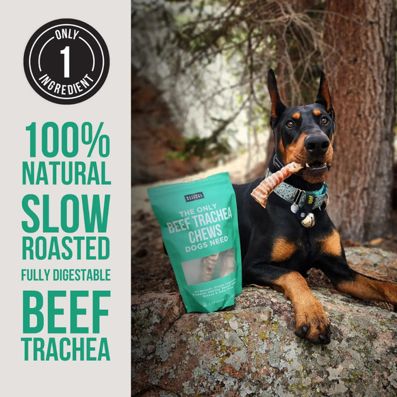 Natural Rapport The Only Beef Trachea Chews Dogs Need - Dog Treats 3