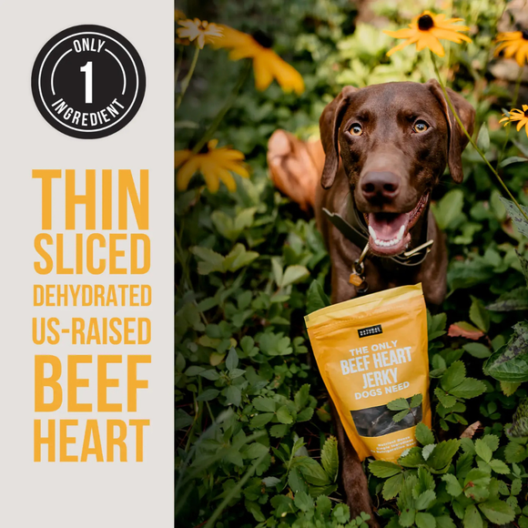 Natural Rapport The Only Dehydrated Beef Heart Jerky Dogs Need - Dog Treats 3