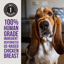 Natural Rapport The Only Dehydrated Chicken Jerky Dogs Need (4 oz) - Dog Treats 3