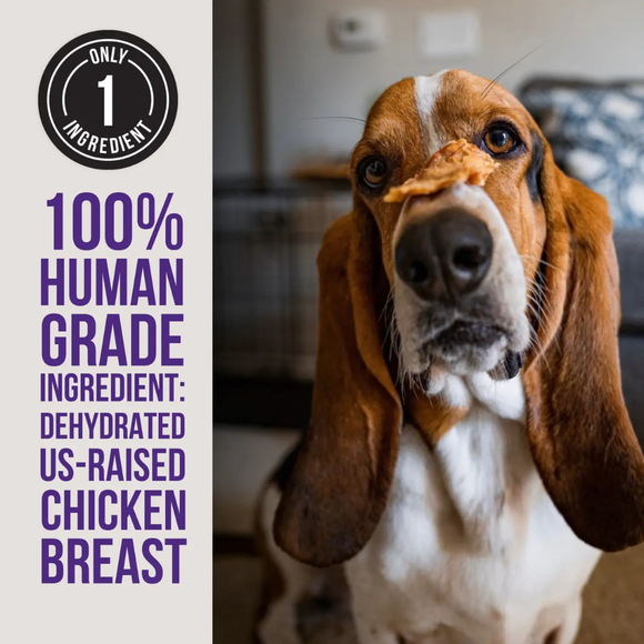 Natural Rapport The Only Dehydrated Chicken Jerky Dogs Need (4 oz) - Dog Treats 3