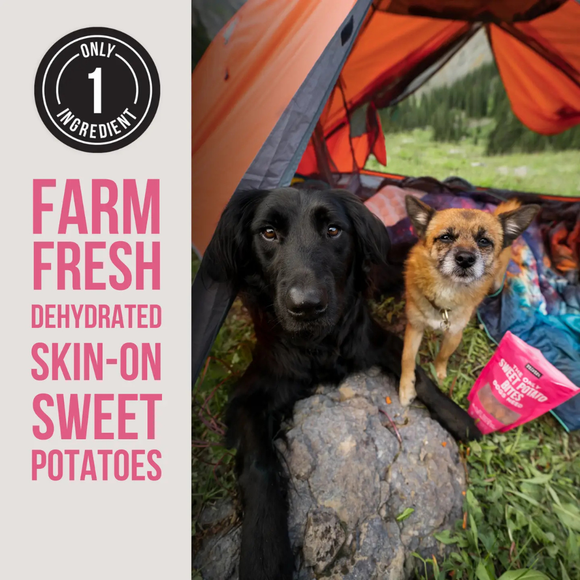 Natural Rapport The Only Dehydrated Sweet Potato Bites Dogs Need - Dog Treats 4