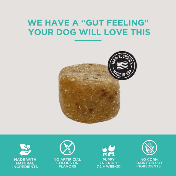 Natural Rapport The Only Digestive Support Soft Chews Dogs Need Digestive Supplement - Dog Digestive & Probiotics