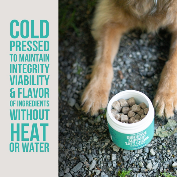 Natural Rapport The Only Digestive Support Soft Chews Dogs Need Digestive Supplement - Dog Digestive & Probiotics
