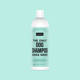 Natural Rapport The Only Dog Shampoo Dogs Need - 16-oz - Dog Shampoos & Conditioners 1