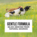 Natural Rapport The Only Dog Shampoo Dogs Need