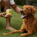 Natural Rapport The Only Ear Wipes Dogs Need 100 count - Dog Ear Cleaning Wipes 8