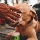 Natural Rapport The Only Eye Wipes Dogs Need 100 count - Dog Eye Cleaning Wipes 7