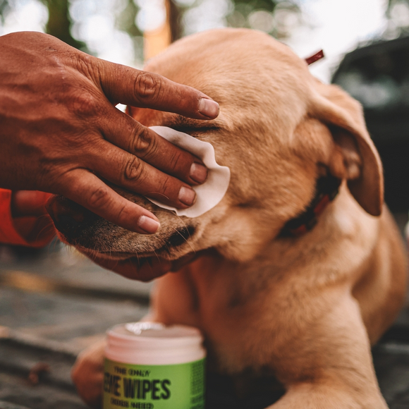 Natural Rapport The Only Eye Wipes Dogs Need 100 count - Dog Eye Cleaning Wipes 7