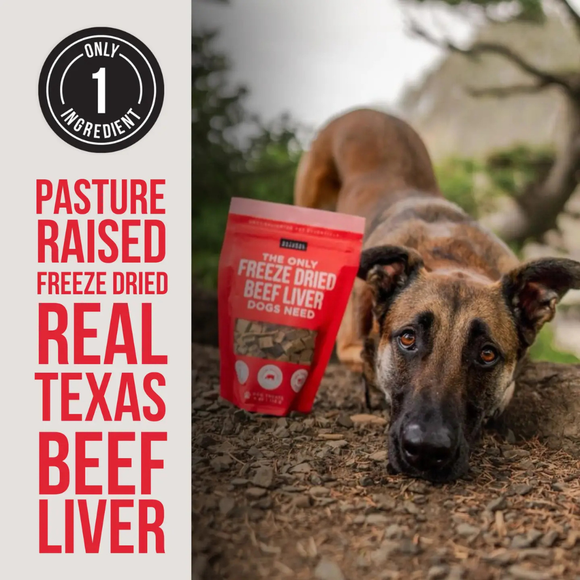 Natural Rapport The Only Freeze Dried Beef Liver Dogs Need - Dog Treats 4