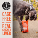 Natural Rapport The Only Freeze Dried Chicken Liver Dogs Need - Dog Treats 4