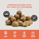 Natural Rapport The Only Freeze Dried Pumpkin Meatballs Dogs Need - Dog Treats 4