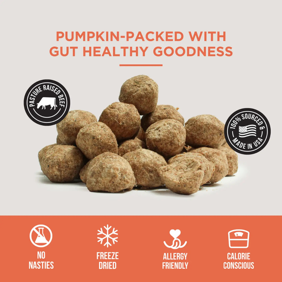 Natural Rapport The Only Freeze Dried Pumpkin Meatballs Dogs Need - Dog Treats 4