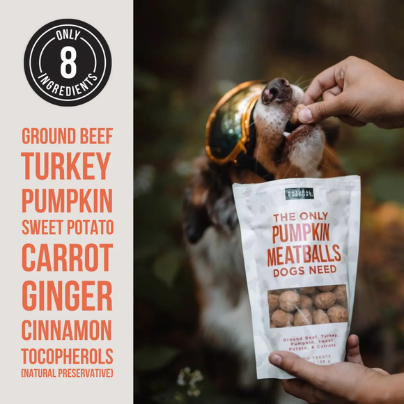 Natural Rapport The Only Freeze Dried Pumpkin Meatballs Dogs Need - Dog Treats 3