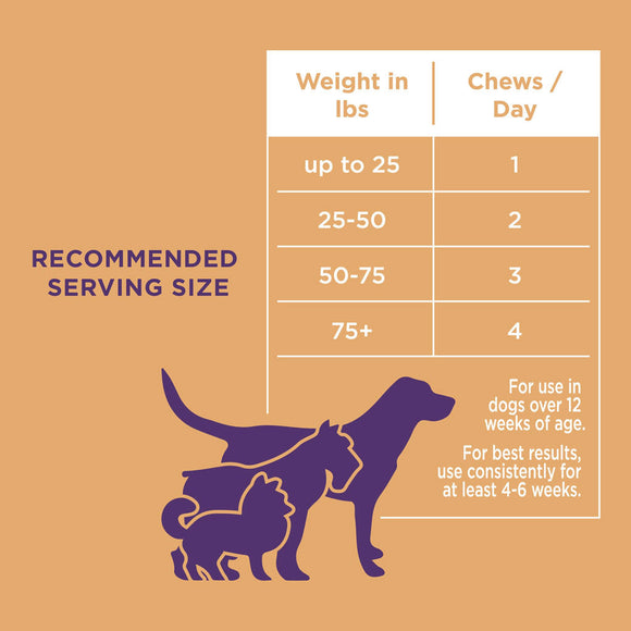 Natural Rapport The Only Skin & Coat Soft Chews Dogs Need Skin & Coat Supplement