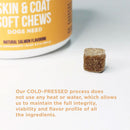 Natural Rapport The Only Skin & Coat Soft Chews Dogs Need Skin & Coat Supplement