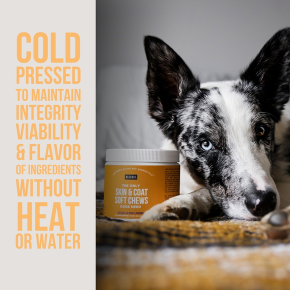 Natural Rapport The Only Skin & Coat Soft Chews Dogs Need Skin & Coat Supplement - Dog Skin & Coat Supplements 3