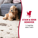 Nature's Miracle Dog Stain and Odor Remover Foam Aerosol Spray (17.5 oz)