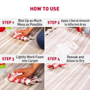 Nature's Miracle Dog Stain and Odor Remover Foam Aerosol Spray (17.5 oz)