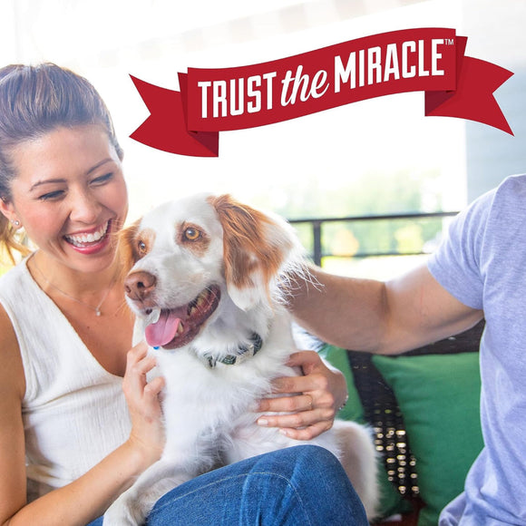 Nature's Miracle Dog Stain and Odor Remover Foam Aerosol Spray (17.5 oz)