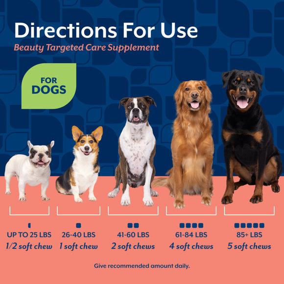 NaturVet Beauty with Hyaluronic Acid & Lutein Dog Supplement Bacon & Chicken Flavor 60-count - Pet Vitamins &
