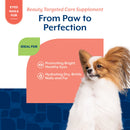 NaturVet Beauty with Hyaluronic Acid & Lutein Dog Supplement Bacon & Chicken Flavor 60-count - Pet Vitamins &