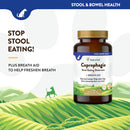 NaturVet Coprophagia Stool Eating Deterrent Plus Breath Aid Chewable Tablets for Dogs