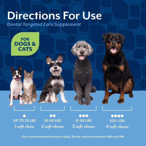 NaturVet Dental Care Dog & Cat Supplement Soft Chew Hickory Bacon Flavor 60-count - Pet Vitamins & Supplements 5