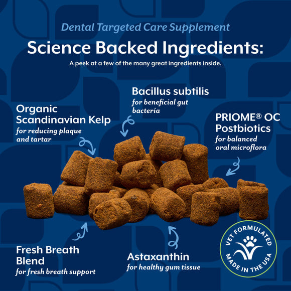 NaturVet Dental Care Dog & Cat Supplement Soft Chew Hickory Bacon Flavor 60-count - Pet Vitamins & Supplements 4