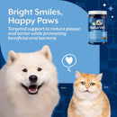 NaturVet Dental Care Dog & Cat Supplement Soft Chew Hickory Bacon Flavor 60-count - Pet Vitamins & Supplements 2