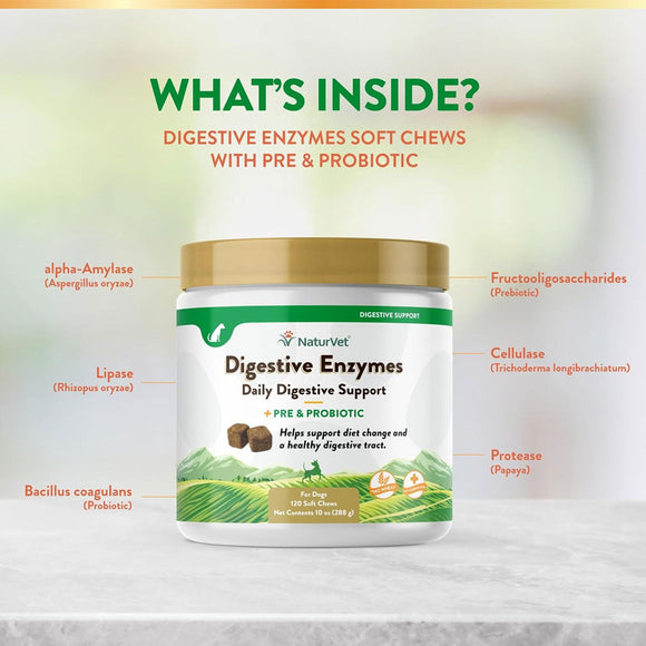 NaturVet Digestive Enzymes Soft Chews Daily Digestive Support Plus Pre & Probiotic for Dogs