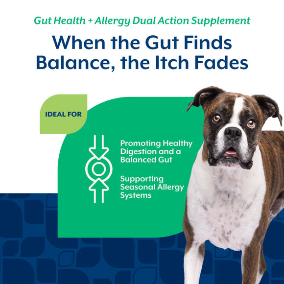 NaturVet Dual Action Gut Health Plus Allergy Dog Supplement Hickory Bacon Flavor 60-count - Pet Vitamins & Supplements 3