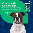 NaturVet Dual Action Gut Health Plus Allergy Dog Supplement Hickory Bacon Flavor 60-count - Pet Vitamins & Supplements 2