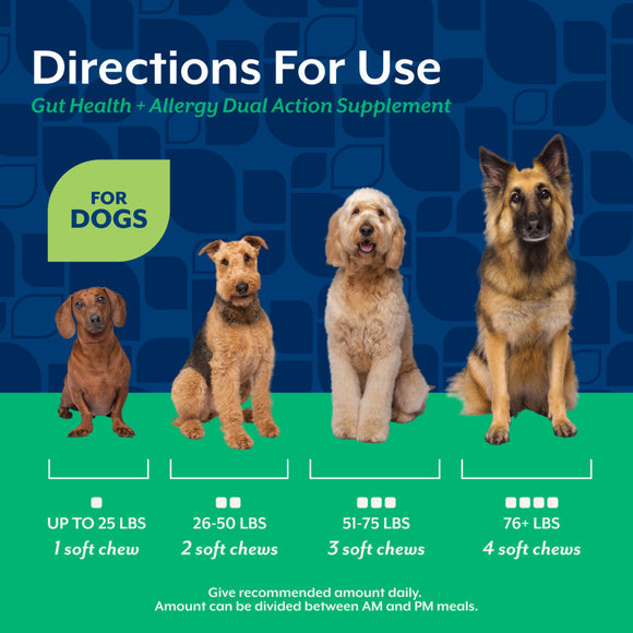 NaturVet Dual Action Gut Health Plus Allergy Dog Supplement Hickory Bacon Flavor 60-count - Pet Vitamins & Supplements 6