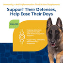 NaturVet Dual Action Immune Plus Inflammation Support Hickory Bacon Flavor for Dogs 60-count - Pet Vitamins &