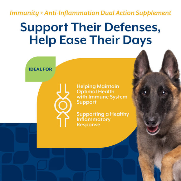 NaturVet Dual Action Immune Plus Inflammation Support Hickory Bacon Flavor for Dogs 60-count - Pet Vitamins &