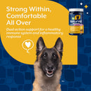NaturVet Dual Action Immune Plus Inflammation Support Hickory Bacon Flavor for Dogs 60-count - Pet Vitamins &