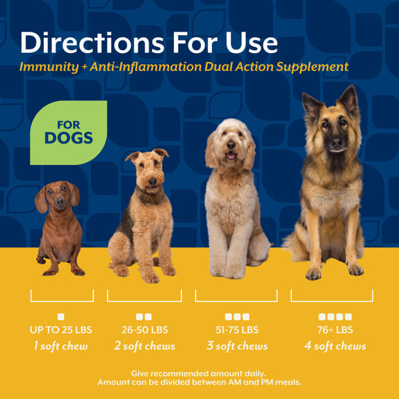 NaturVet Dual Action Immune Plus Inflammation Support Hickory Bacon Flavor for Dogs 60-count - Pet Vitamins &