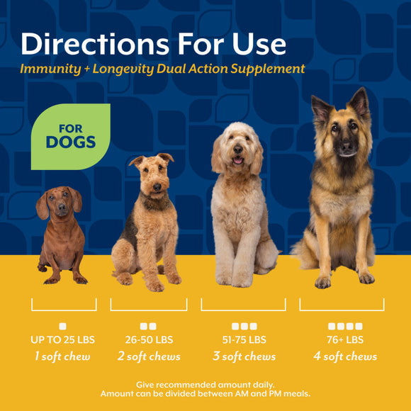 NaturVet Dual Action Immune Plus Longevity Support Soft Chews Hickory Bacon Flavor for Dogs 60-count - Dog & Cat Immune