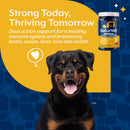 NaturVet Dual Action Immune Plus Longevity Support Soft Chews Hickory Bacon Flavor for Dogs 60-count - Dog & Cat Immune