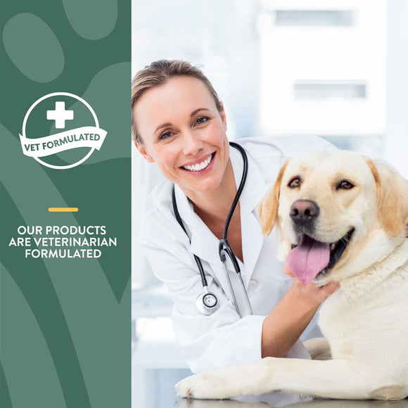 NaturVet Hemp Quiet Moments Plus Hemp Seed Soft Chews for Dogs - Dog Calming & Anxiety Supplements 10