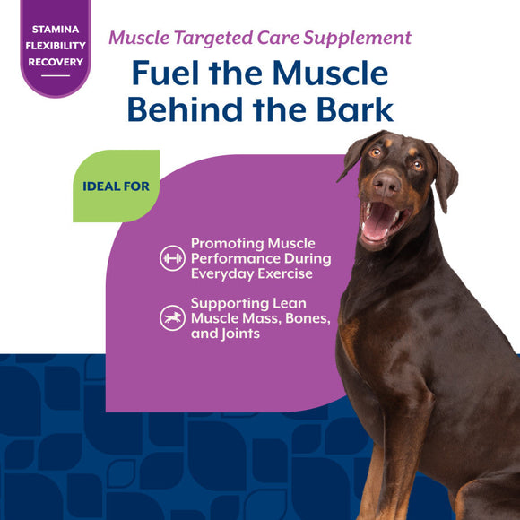 NaturVet Muscle with Creatine & Collagen Dog Supplement Bacon & Chicken Flavor 60-count - Pet Vitamins & Supplements 3