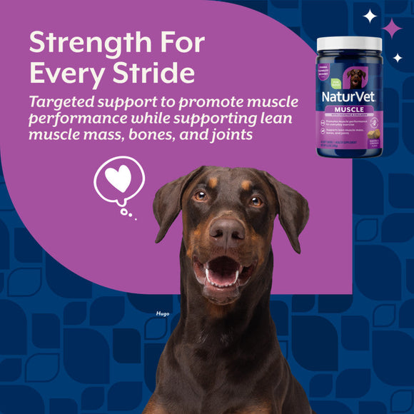 NaturVet Muscle with Creatine & Collagen Dog Supplement Bacon & Chicken Flavor 60-count - Pet Vitamins & Supplements 2